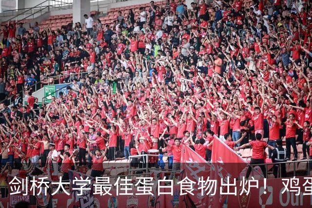 剑桥大学最佳蛋白食物出炉！鸡蛋排第14，第一名很多人不吃