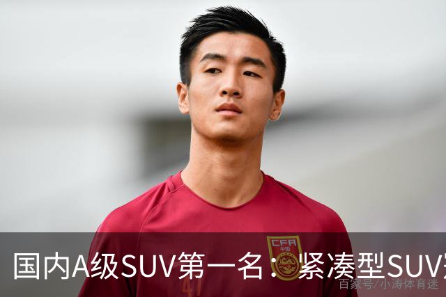 国内A级SUV第一名：紧凑型SUV冠军车，9个月时间销量破14万台